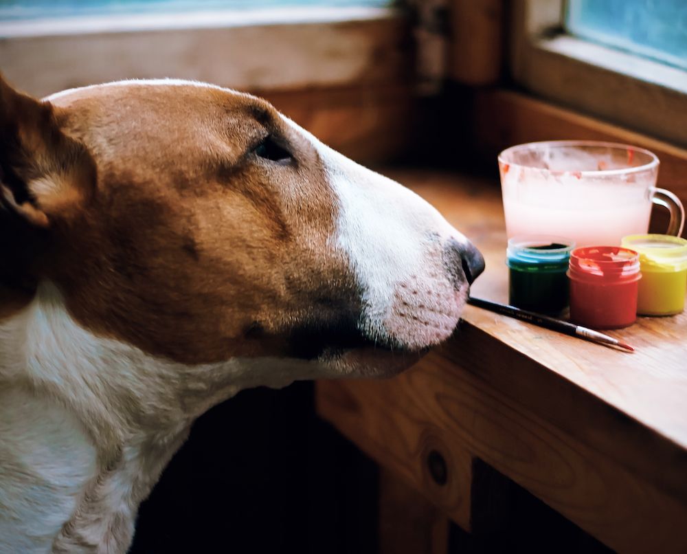 Before the Roman Nose